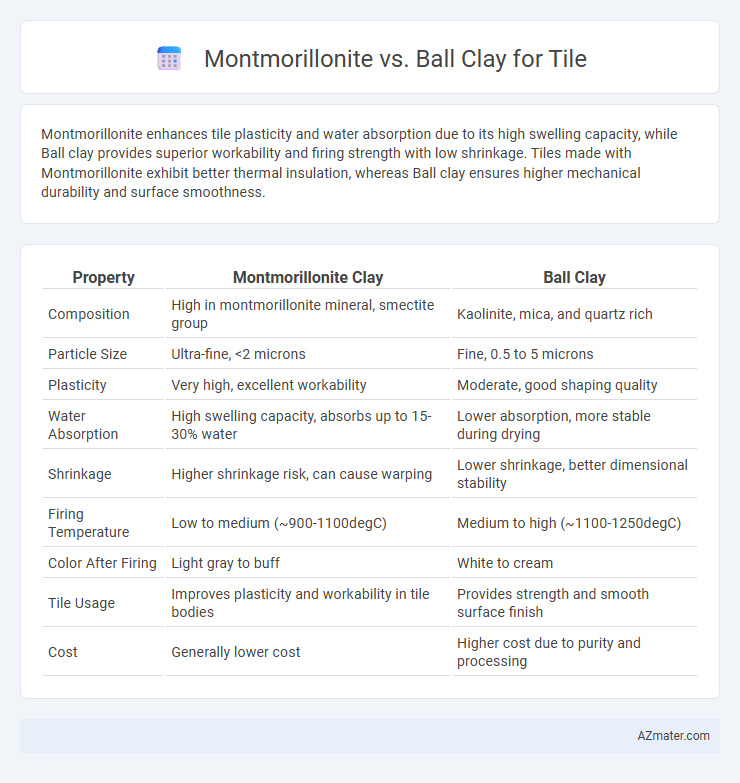 Montmorillonite vs. Ball Clay for Tile - What is The Difference?