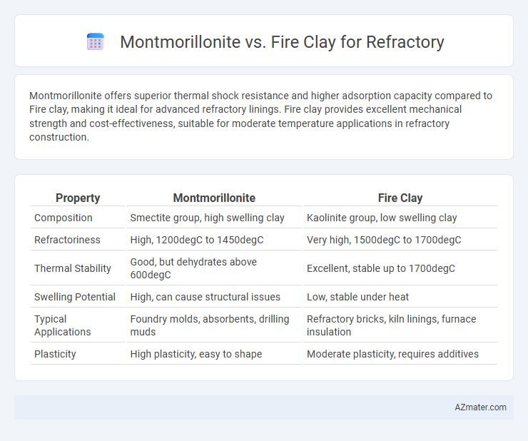 Montmorillonite vs. Fire Clay for Refractory - What is The Difference?