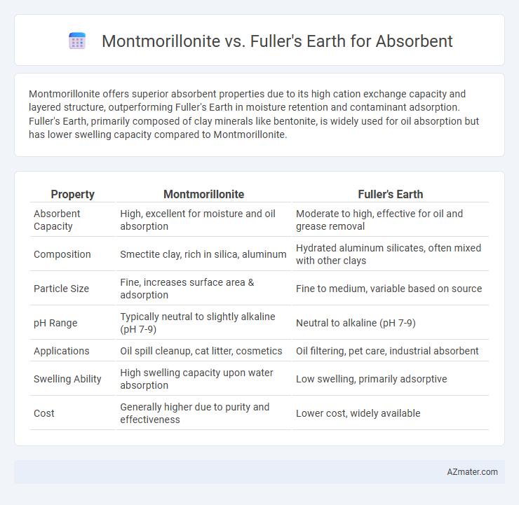 Montmorillonite vs. Fuller's Earth for Absorbent - What is The Difference?