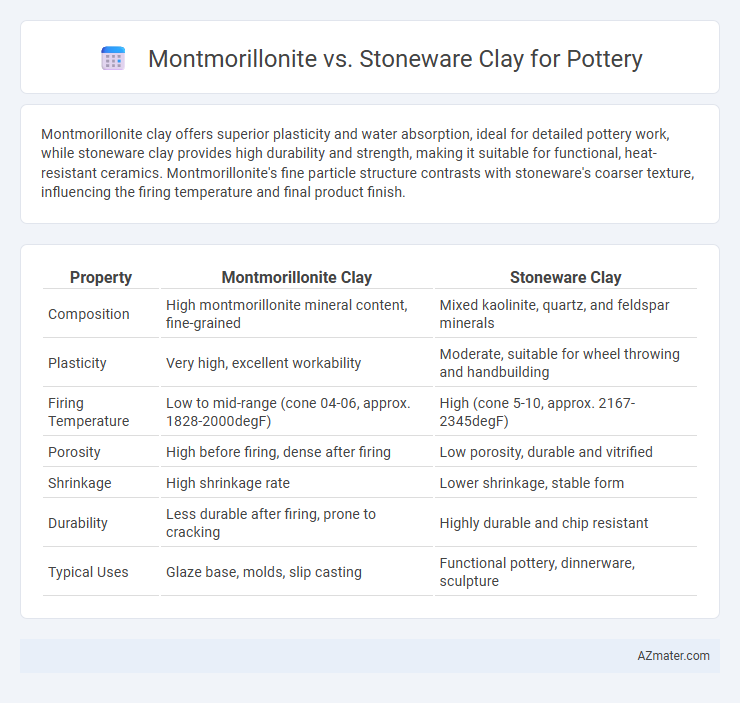 Montmorillonite vs. Stoneware Clay for Pottery - What is The Difference?