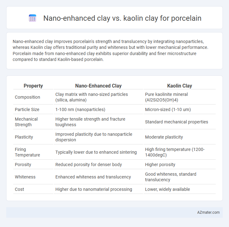 Nano-enhanced clay vs. kaolin clay for porcelain - What is The Difference?