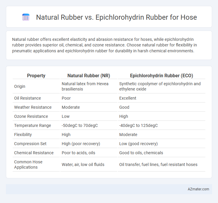 Natural Rubber vs. Epichlorohydrin Rubber for Hose - What is The Difference?