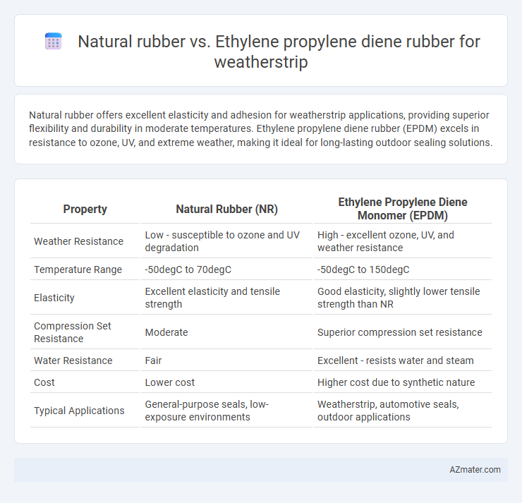 Natural rubber vs. Ethylene propylene diene rubber for weatherstrip - What is The Difference?