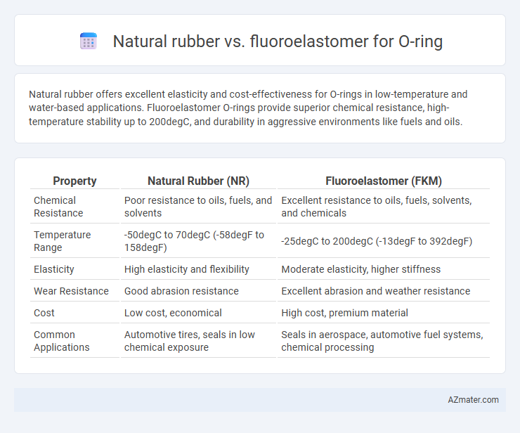Natural rubber vs. fluoroelastomer for O-ring - What is The Difference?