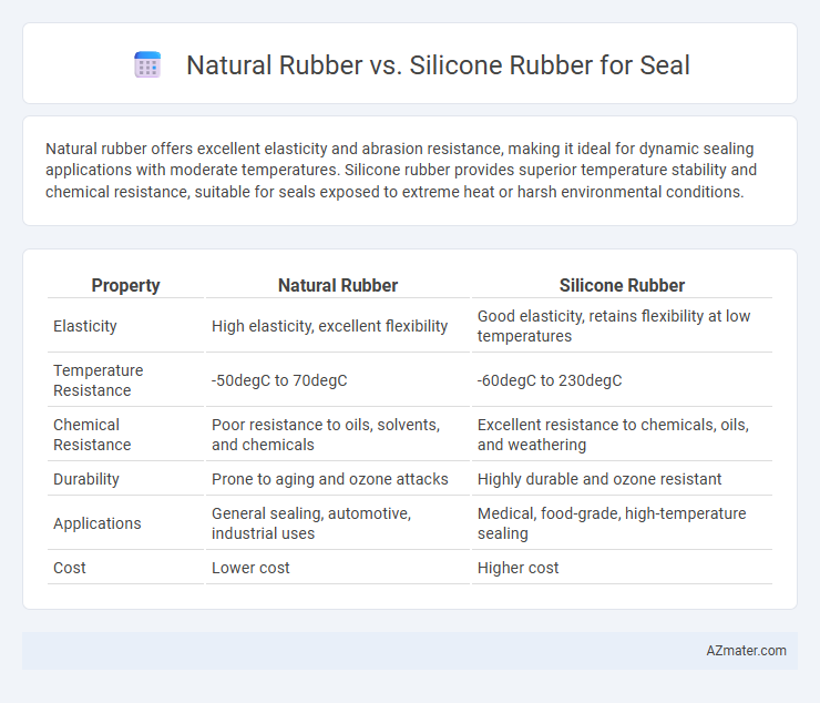 Natural Rubber vs. Silicone Rubber for Seal - What is The Difference?