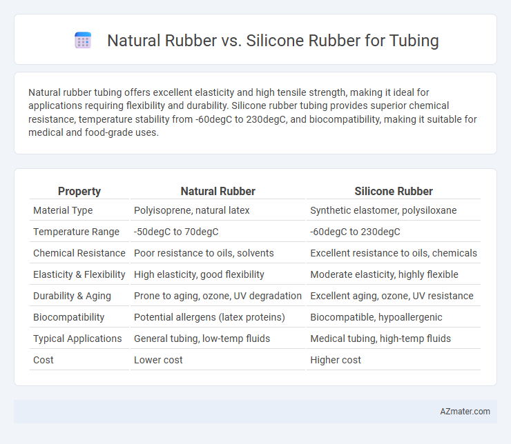 Natural Rubber vs. Silicone Rubber for Tubing - What is The Difference?