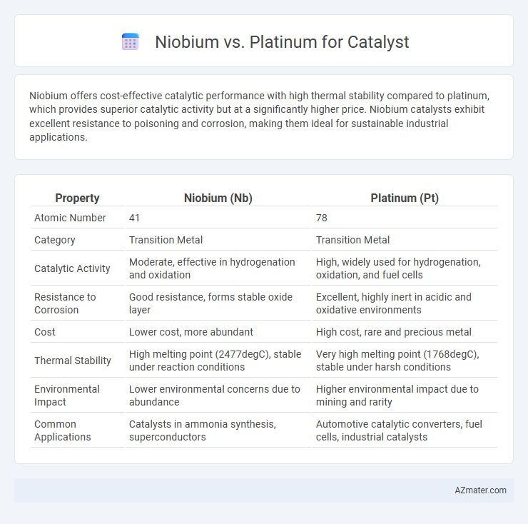Niobium vs. Platinum for Catalyst - What is The Difference?