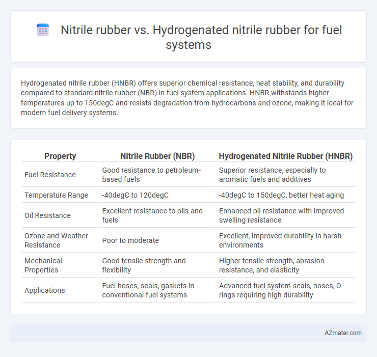 Nitrile rubber vs. Hydrogenated nitrile rubber for fuel systems - What is The Difference?