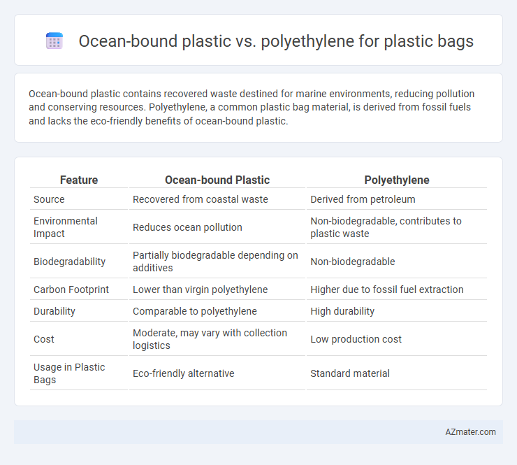 Ocean-bound plastic vs. polyethylene for plastic bags - What is The Difference?