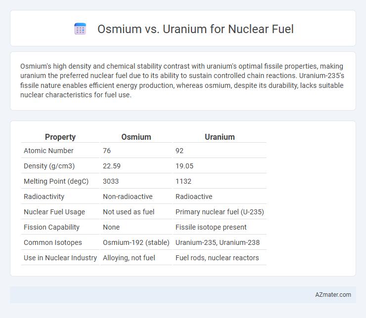 Osmium vs. Uranium for Nuclear Fuel - What is The Difference?