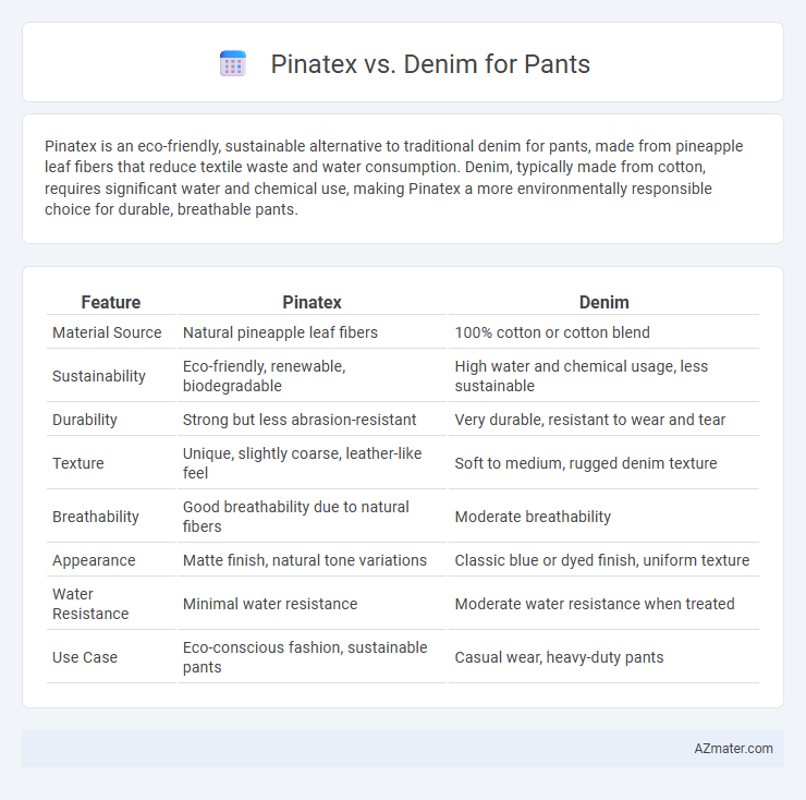 Pinatex vs. Denim for Pants - What is The Difference?