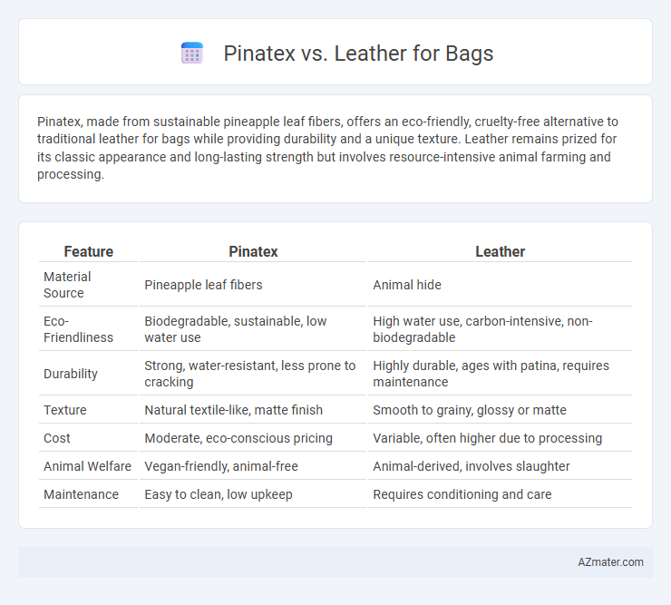Pinatex vs. Leather for Bags - What is The Difference?