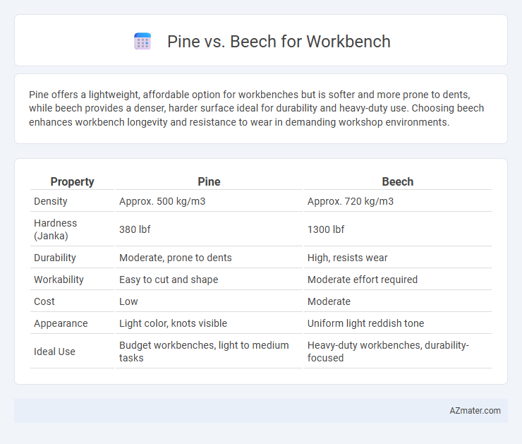 Pine vs. Beech for Workbench - What is The Difference?
