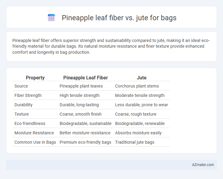 Pineapple leaf fiber vs. jute for bags - What is The Difference?