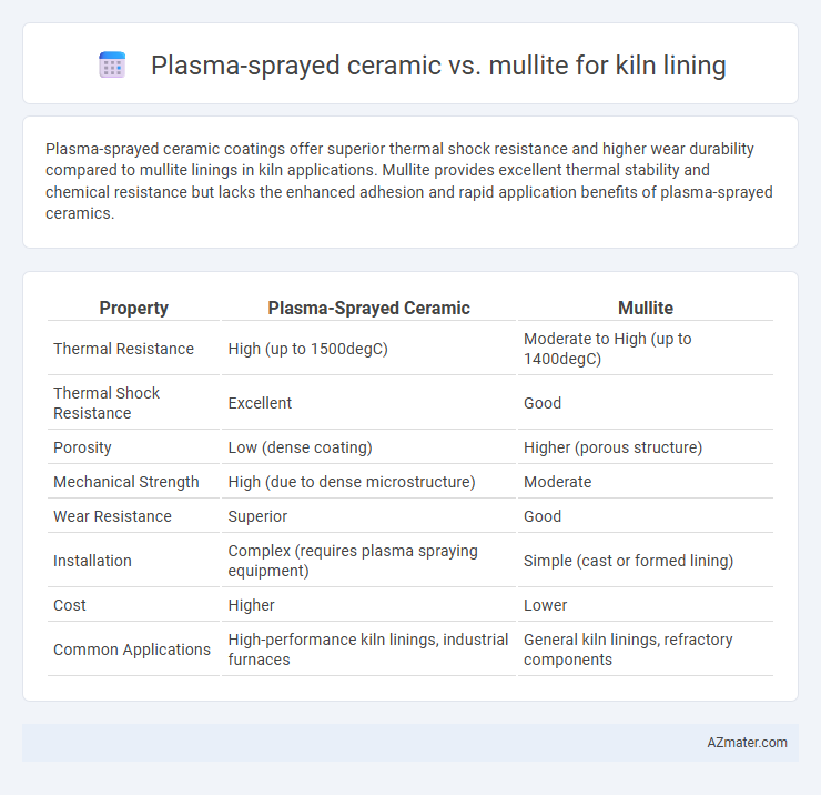 Plasma-sprayed ceramic vs. mullite for kiln lining - What is The Difference?