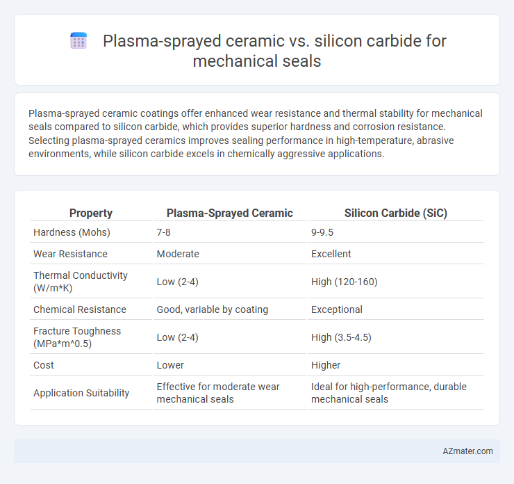 Plasma-sprayed ceramic vs. silicon carbide for mechanical seals - What is The Difference?