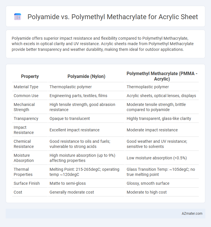 Polyamide vs. Polymethyl Methacrylate for Acrylic Sheet - What is The Difference?