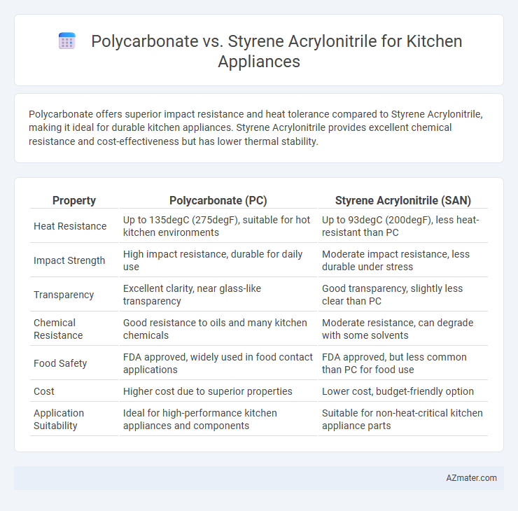 Polycarbonate vs. Styrene Acrylonitrile for Kitchen Appliances - What is The Difference?