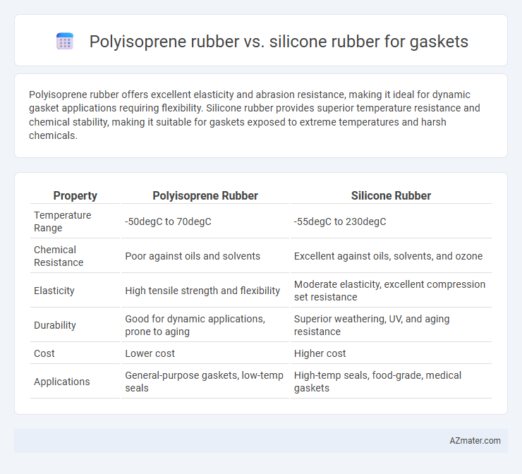 Polyisoprene rubber vs. silicone rubber for gaskets - What is The Difference?