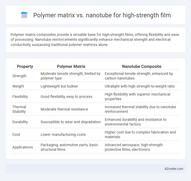 Polymer matrix vs. nanotube for high-strength film - What is The Difference?