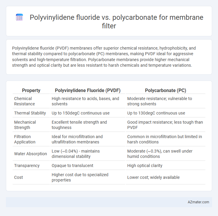 Polyvinylidene fluoride vs. polycarbonate for membrane filter - What is The Difference?