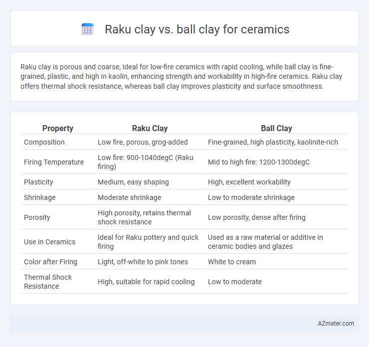 Raku clay vs. ball clay for ceramics - What is The Difference?