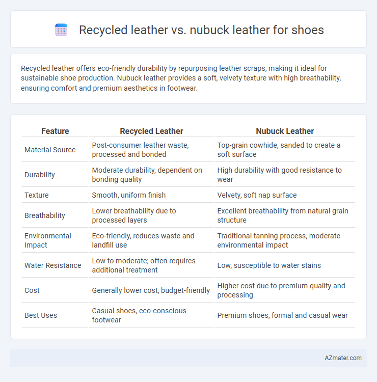 Recycled leather vs. nubuck leather for shoes - What is The Difference?