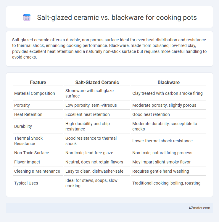 Salt-glazed ceramic vs. blackware for cooking pots - What is The Difference?