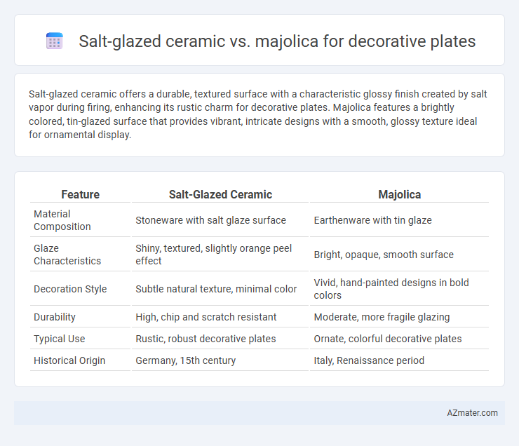 Salt-glazed ceramic vs. majolica for decorative plates - What is The Difference?