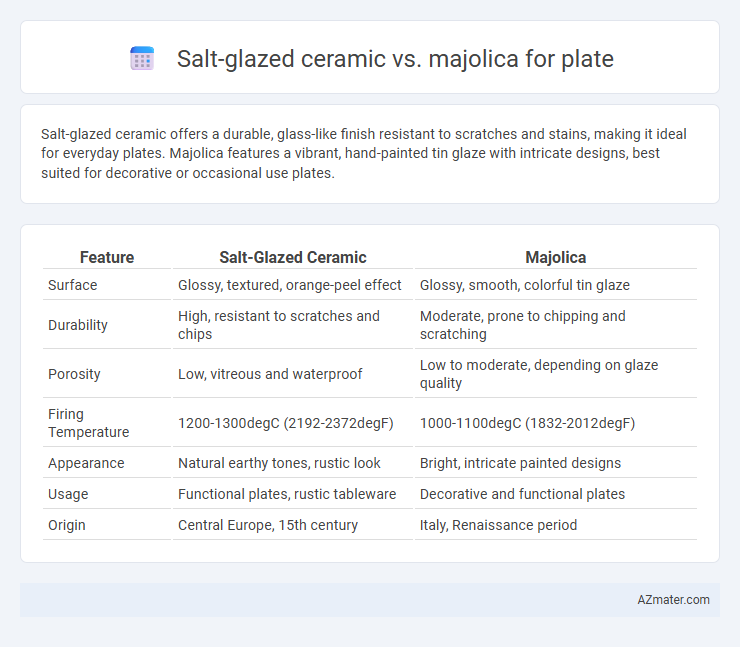 Salt-glazed ceramic vs. majolica for plate - What is The Difference?