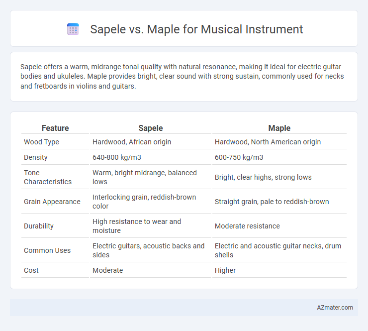 Sapele vs. Maple for Musical Instrument - What is The Difference?