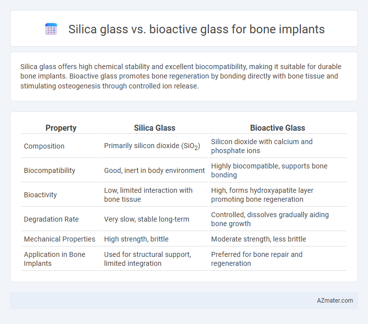 Silica glass vs. bioactive glass for bone implants - What is The Difference?