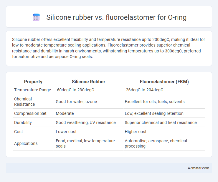 Silicone rubber vs. fluoroelastomer for O-ring - What is The Difference?