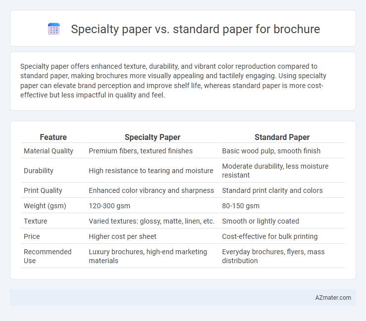 Specialty paper vs. standard paper for brochure - What is The Difference?