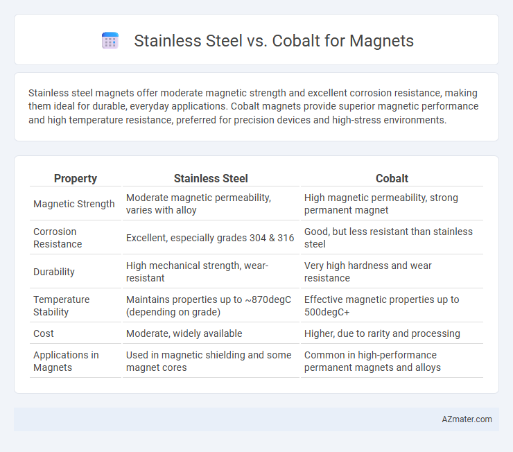 Stainless Steel vs. Cobalt for Magnets - What is The Difference?