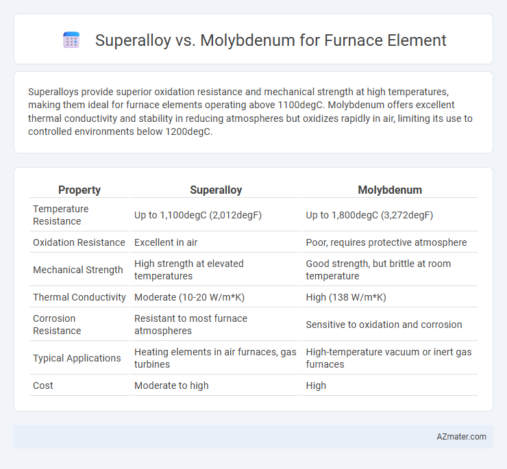 Superalloy vs. Molybdenum for Furnace Element - What is The Difference?