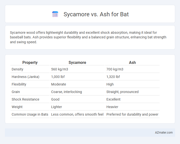 Sycamore vs. Ash for Bat - What is The Difference?