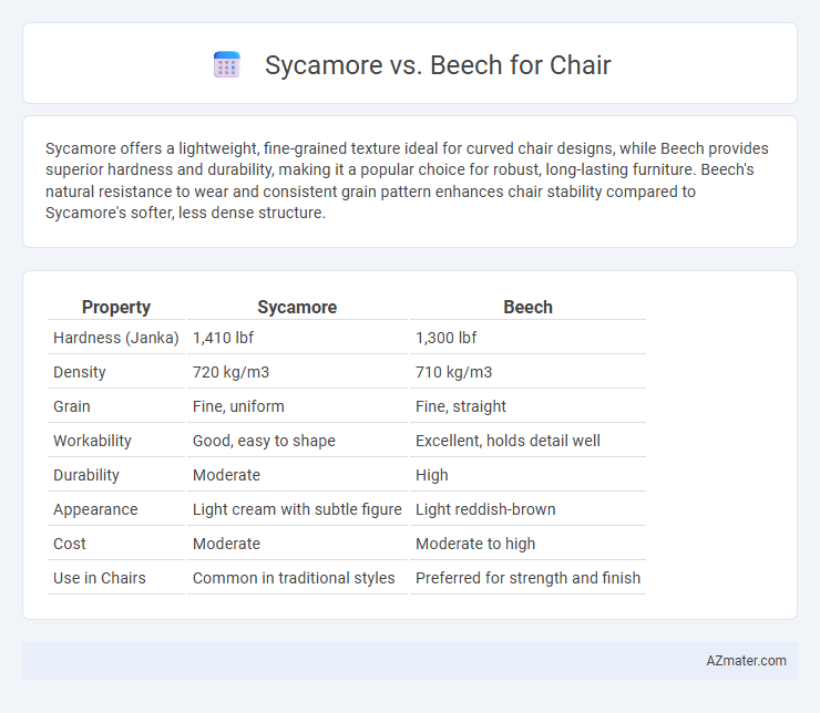 Sycamore vs. Beech for Chair - What is The Difference?