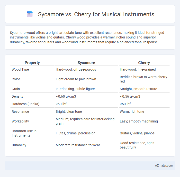 Sycamore vs. Cherry for Musical Instruments - What is The Difference?