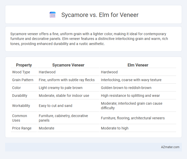 Sycamore vs. Elm for Veneer - What is The Difference?