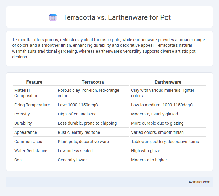 Terracotta vs. Earthenware for Pot - What is The Difference?