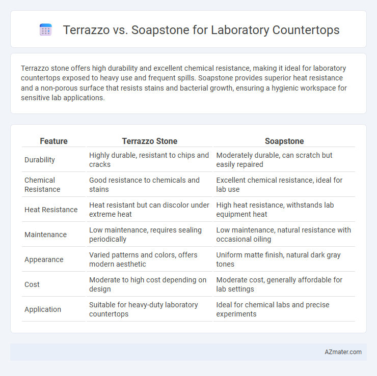 Terrazzo vs. Soapstone for Laboratory Countertops - What is The Difference?