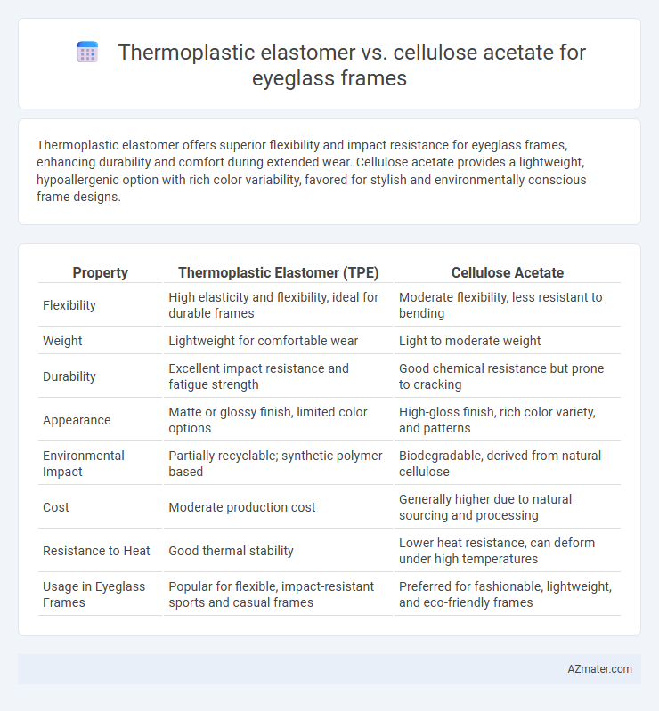 Thermoplastic elastomer vs. cellulose acetate for eyeglass frames - What is The Difference?