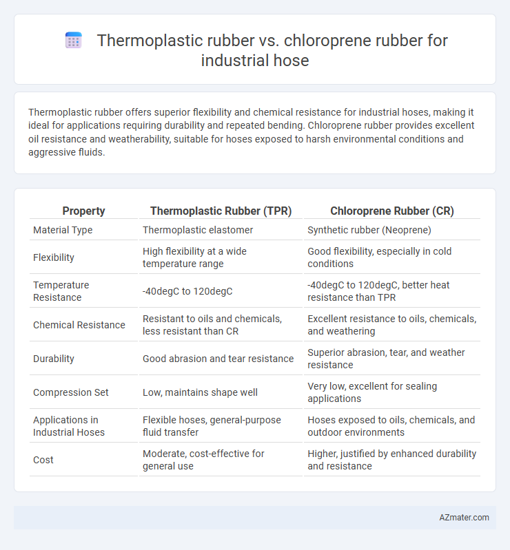 Thermoplastic rubber vs. chloroprene rubber for industrial hose - What is The Difference?