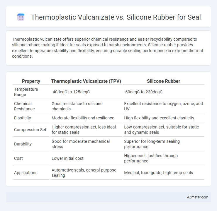 Thermoplastic Vulcanizate vs. Silicone Rubber for Seal - What is The Difference?