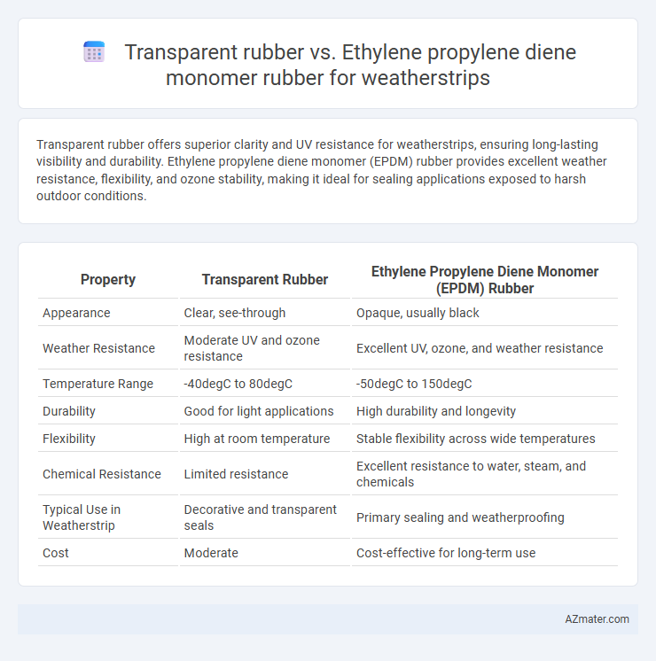 Transparent rubber vs. Ethylene propylene diene monomer rubber for weatherstrips - What is The Difference?