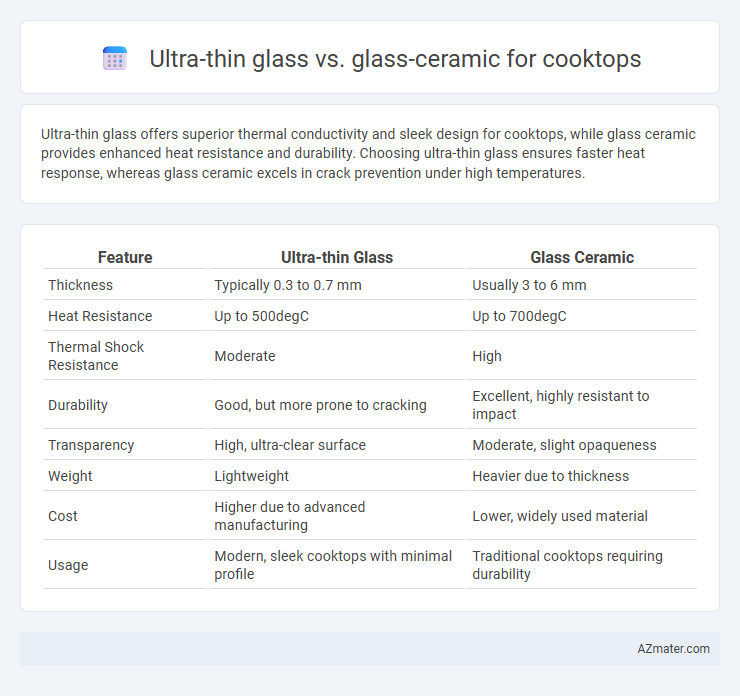 Ultra-thin glass vs. glass-ceramic for cooktops - What is The Difference?