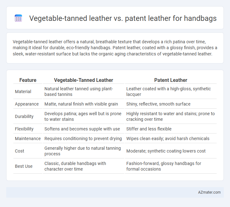 Vegetable-tanned leather vs. patent leather for handbags - What is The Difference?