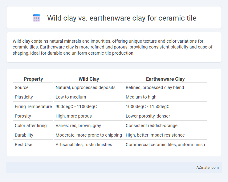 Wild clay vs. earthenware clay for ceramic tile - What is The Difference?