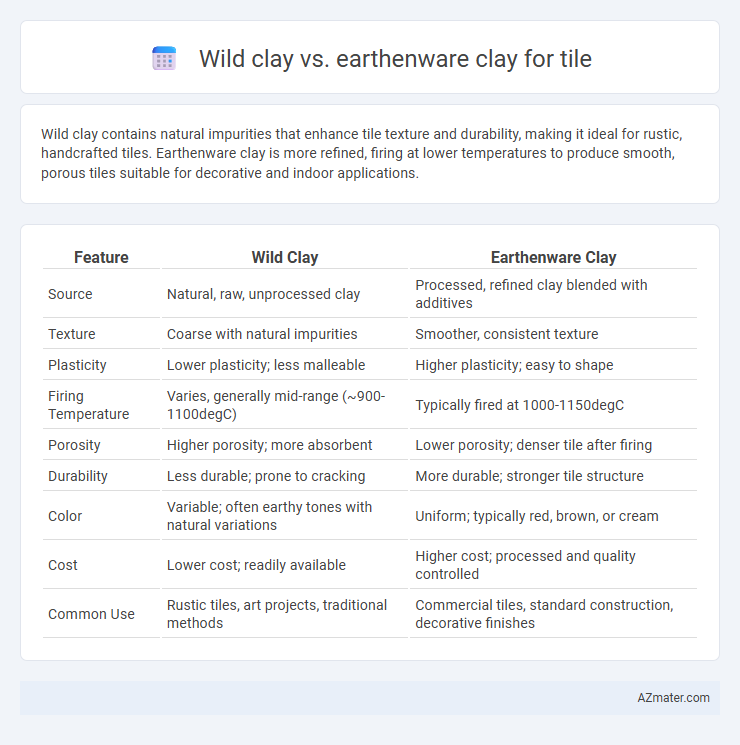 Wild clay vs. earthenware clay for tile - What is The Difference?